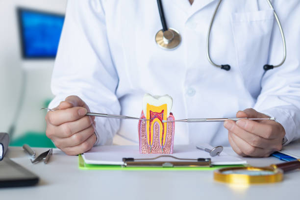 Best Same-Day Emergency Dental Services in Woodland Park, NE